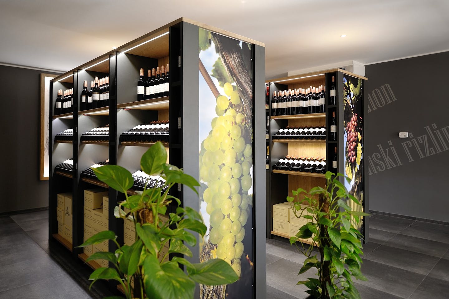 Vino Leber